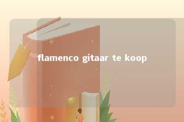 flamenco gitaar te koop 